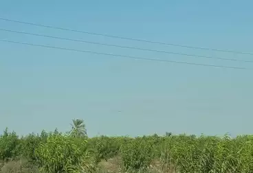 Farm For sale