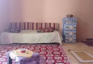 Furnished Apartment For rent - 1 rooms - floor 6