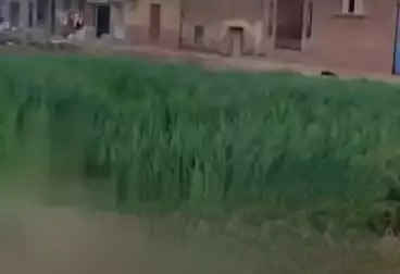 Farm For sale