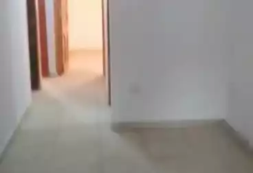 Apartments For rent - 3 rooms - floor 2