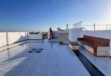 شقق للبيع - 2 غرف - بالدور 13