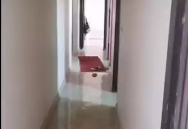 Apartments For rent - 3 rooms - floor 1