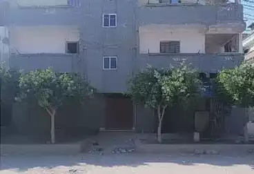 منزل / بيت للبيع - 8 غرف