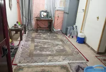 undefined undefined - 2 rooms - floor 1