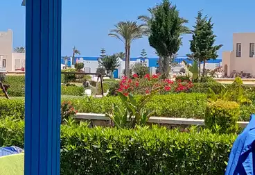 شاليهات للبيع - 2 غرف - بالدور 0