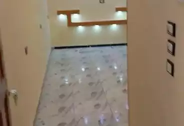 عقارات للإيجار - 2 غرف - بالدور 1