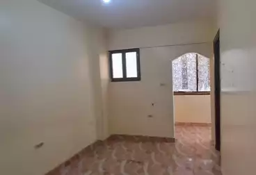 Apartments For rent - 1 rooms - floor 2