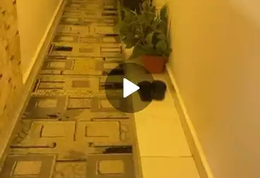Apartments For sale - 3 rooms - floor 1