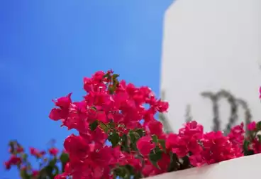 مباني للبيع - 3 غرف