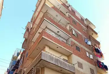 شقق للبيع - 3 غرف - بالدور 6