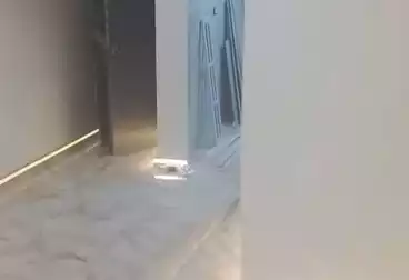 undefined undefined - 2 rooms - floor 7