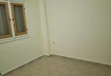 عقارات للبيع - 3 غرف - بالدور 0