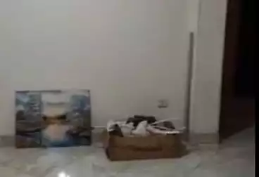 Apartments For rent - 3 rooms - floor 8