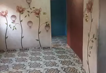 شقق للبيع - 2 غرف - بالدور 3