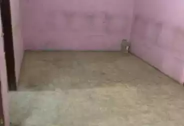 Apartments For rent - 3 rooms - floor 5