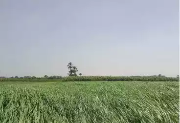 Commercial Land For sale