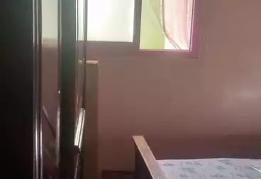Apartments For rent - 2 rooms - floor 7