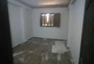 شقق للإيجار - 3 غرف - بالدور 6