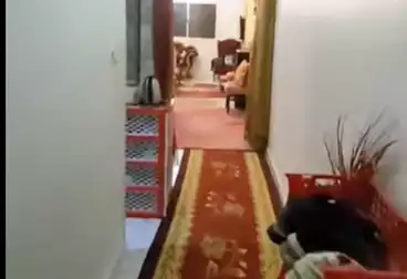 شقق للبيع - 2 غرف - بالدور 6