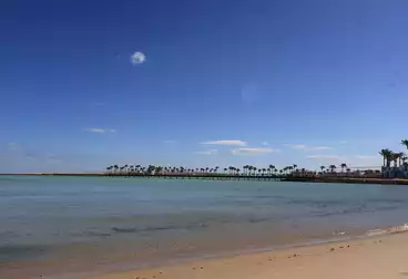 شقق للبيع - 1 غرف - بالدور 1