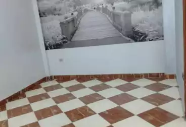 Apartments For rent - 3 rooms - floor 2