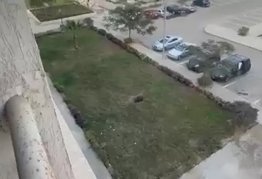 Apartments For sale - 3 rooms - floor 3