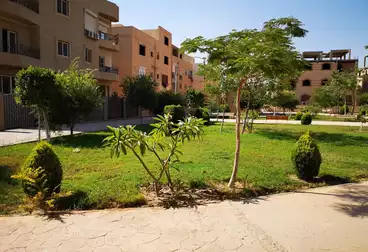 Properties For sale - 3 rooms - floor 0