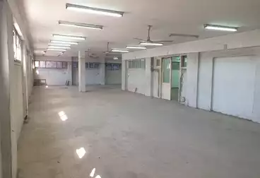 تجاري للإيجار
