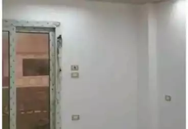 عقارات للإيجار - 3 غرف - بالدور 0