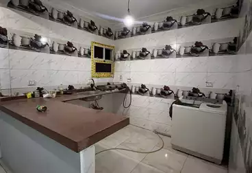 Apartments For rent - 2 rooms - floor 5