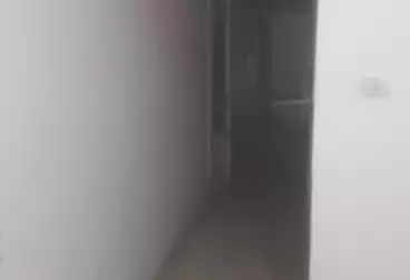 Commercial For rent - 3 rooms - floor 0