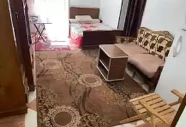 Furnished Apartment For rent - 2 rooms - floor 2
