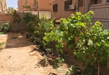 undefined undefined - 3 غرف - بالدور 0