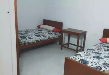 شقق للإيجار - 3 غرف - بالدور 5