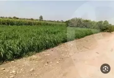 أراضي للبيع