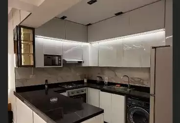 Serviced Apartments For rent - 2 rooms - floor 7