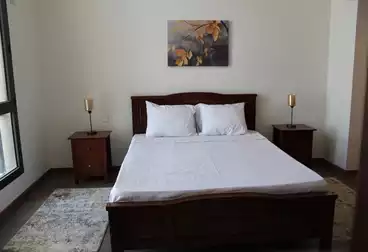 شقق فندقية للإيجار - 2 غرف - بالدور 3