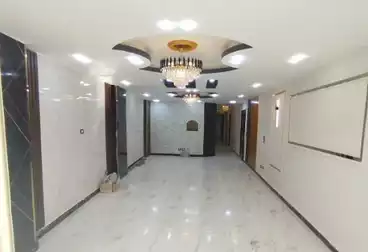 شقق للبيع - 3 غرف - بالدور 7