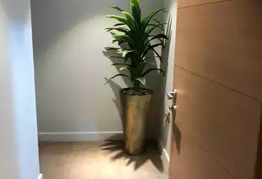 Apartments For sale - 3 rooms - floor 0
