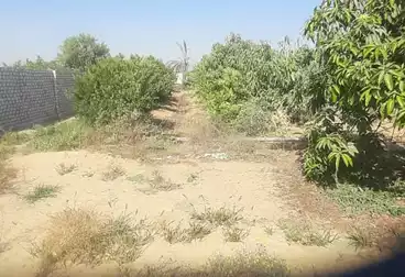 أراضي للبيع