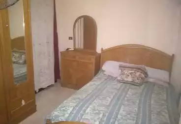 شقق مفروشة للإيجار - 2 غرف - بالدور 2
