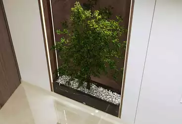 Apartments For sale - 3 rooms - floor 2