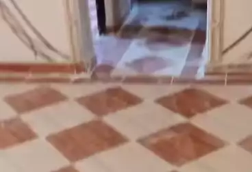 undefined undefined - 3 rooms - floor 1