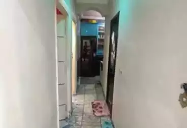 undefined undefined - 3 rooms - floor 1