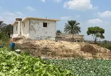 Farm For sale