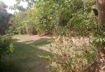 Separate Villa For rent - 9 rooms