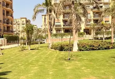 عقارات للإيجار - 2 غرف - بالدور 0