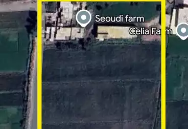 Farm For sale