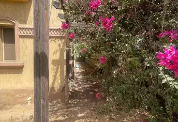 Villas For sale - 7 rooms