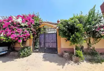Properties For sale - 7 rooms